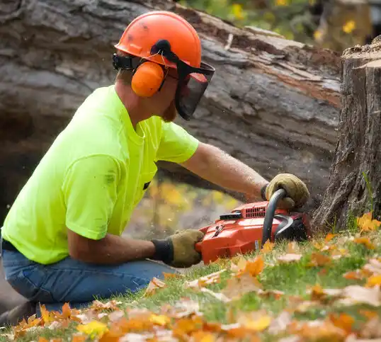 tree services Creston